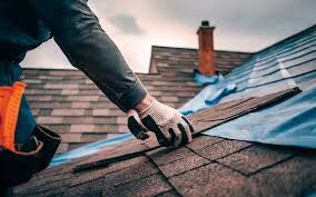 DIY vs. Professional Roofing: What’s the Right Option for Your Home?